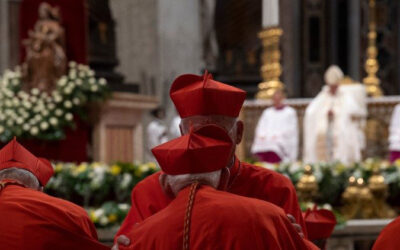 Auguri ai nuovi Cardinali